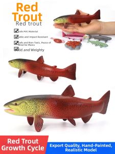 Educational Marine Fish Model