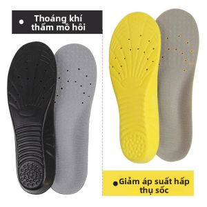 Đế Giày Bóng Rổ Đàn Hồi Chống Sốc Hỗ Trợ Vòm Chân Thoáng Khí Thấm Hút Mồ Hôi Chất Liệu PU Dành Cho Nam Và Nữ