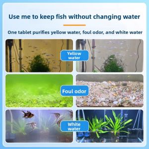 MONLEYTA | Fish Tank Water Purification Tablet One Drop Special Clear Fish Feeding Dedicated Water Purifying Tablet Odor Removal Yellow Water Clarifier