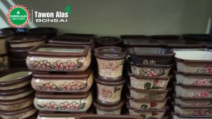 Pot Bonsai Keramik Kecil Bagus - Lukis 1