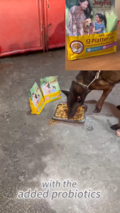 JooyPet 9 Tray Freeze-Dried Dog Food 20% Raw Meat Bone Chondroitin Sulfate para sa Kalusugan ng Tiyan Matitibay na Buto Pangangalaga sa Mata 1kg