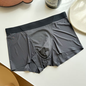 Men Underwear 2024 New Arrival Ice Silk Seamless Quick-Drying Breathable Purified Cotton Crotch Summer Thin Boxer Shorts Shorts