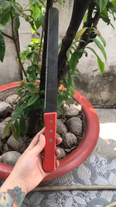 Dao Cắt Bánh Mì Răng Cưa Lưỡi Thép Cán Gỗ 20cm - 25cm