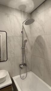 SEN CÂY NHẬP KHẨU NGA GAPPO G2402 - HÀNG CHÍNH HÃNG - ĐẸP CHẤT LƯỢNG