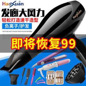 Haoxuan High-Power Hair Dryer for Home Use Professional Salon Hair Care Quick Drying Gathering Nozzle 3000W International Voltage