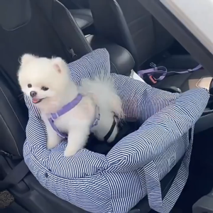 Teeker Pet Dog Car Seat for Medium Dog Booster Seat Multi-Functional Carrier Bag Pet Car Seat with Safety Leashes for Front and Back Seat Machine Washable Dog Bed