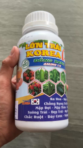 Phân Bón Đậu Trái – Chống Rụng – Dưỡng Trái To Đẹp