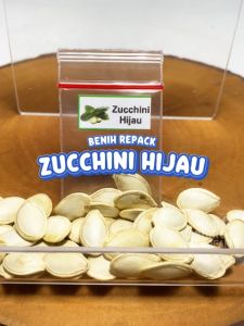 Benih Zucchini Hijau Unggulan: Kunjungan ke Tanaman Labu Sayur Jepang