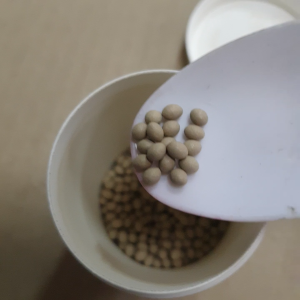 เมล็ดผักสลัด แบบเคลือบ ออแกนิกส์ นำเข้า เนเธอร์แลนด์ non-GMO 12 ชนิด 50 เมล็ด/ซอง