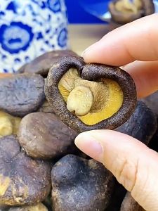 Healthy Snacks for Pregnant Women & Children: Crispy Dried Mushrooms & Vegetable Crisps