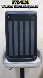 BTS-1809 3000mAh Double DJ singing speaker color LED charging party karaoke speaker With rechargeable mic