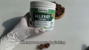 Nutridog เม็ดเคี้ยวบรรเทาอาการแพ้สำหรับสุนัข รสแซลมอน 120 เม็ด