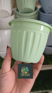 กระถางต้นไม้ โรมัน 4 นิ้ว (ค่าส่งถูก)กระถางพลาสติกกระถางต้นไม้ ((พร้อมส่ง))