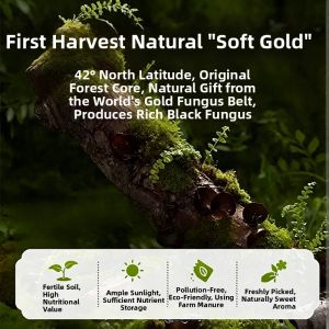 WENXIANGZAN | Top Quality Wild Dried Black Fungus