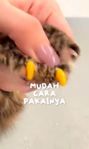 Pelindung Kuku Kucing Anjing Isi 6 Pc Silikon Penutup Bentuk Cakar Hewan Peliharaan Nails Cat Set