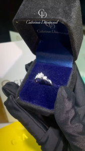 Nhẫn kim cương Moissanite 06 Carat Caterina Diamond Solitaire Pavéproposal  DR028 - Kiểm định GRA