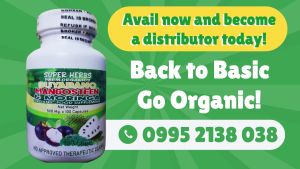 ORGANIC FOOD SUPPLEMENT SUPERHERBS GUYABANO MANGOSTEEN MORINGA 3 IN 1 -30 /60 / 100 capsules 500 MG ANTI DIABETES ANTI CANCER ANTI HYPERTENSION ANTI KIDNEY STONE