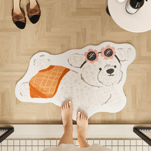Water-Absorbent Anti-Slip Door Mat