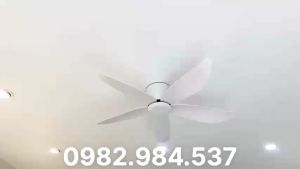 Quạt trầnQuạt trần cổ ngắn 5 cánh cao 15cm cho trần thấpĐộng cơ DC có đảo chiều hút ẩm6 chế độ gió kèm điều khiển