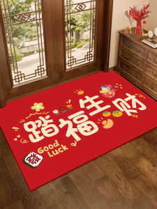 พรมประตูหน้าบ้านดินดำหินอะลูมิเนียมซิลิเกตดูดซับน้ำสำหรับการย้ายบ้านในปีงู พรมปูพื้นแบบมีรูปสัตว์ ป้องกันฝุ่น ทนทานต่อการสึกหรอ