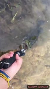 กริบเปอร์ กริบเปอร์ตกปลา กริปเปอร์จับปลา ที่จับปากปลา อุปกรณ์ตกปลา กริปเปอร์หนีบปากปลา Fish Gripper คีมคีบปากปลา SP430