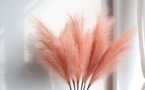 Buket Rumput Pampas Berbulu: Dekorasi Pernikahan & Rumah Kantor