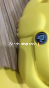 Sandal Anak Slop Mainan Dinosaurus Lucu Model Karet Terbaru - EH9 20/25
