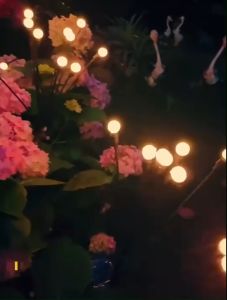 ไฟหิ่งห้อยโซล่าเซลล์ โคมไฟพลังงานแสงอาทิตย์ รูปเชอรี่ สําหรับการตกแต่งสวน และหนังสือหญ้า