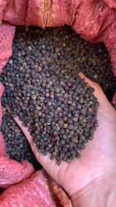 Hạt tiêu (gói 100g) hồ tiêu hạt tiêu sọ gia vị nhà bếp gia vị chấm hàng loại 1 thơm sạch chất lượng thơm nức mũi