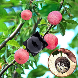 10ชิ้นกล่องใส่กิ่งไม้แบบใช้ซ้ำได้แรงดันสูงกระถางปลูกต้นไม้รูเตอร์อากาศการขยายพันธุ์ต้นกล้า