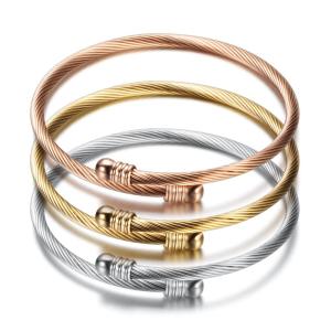 Fashionable Simplistic Three-Color 18K Gold Stainless Steel Cable Wire Bracelet Womens New Arrival Titanium Steel Couples Jewelry