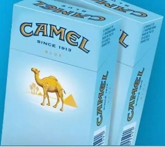 CAMEL LIGHTS 1REAM 10PACKS Lazada PH