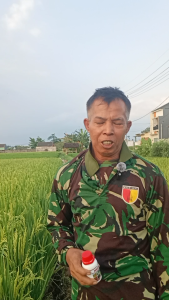 Antrox 88 Original 100% Asli Cairan Penyelamat Tanaman Cegah Kerontokan Bunga Maksimalkan Panen