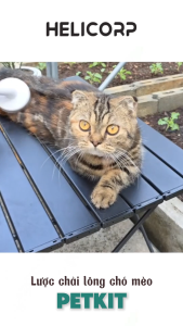 Cây Chải Lông Mèo Lược Chải Lông Chó Mèo PETKIT - HeLiPet