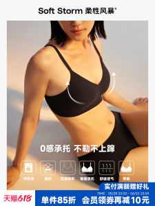 Soft Storm Seamless Disk Bra Womens Spring Summer Thin Style Gathered Underwear No Trace Inner Support V-Neck Nylon Fabric