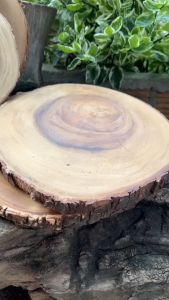 เขียงไม้ จานไม้มะม่วง ถาดไม้ 8ขนาด จานไม้ เขียงติดเปลือกไม้ จานไม้ ติดเปลือกธรรมชาติ รูปทรง สี ตามธรรมชาติ ลายไม้สวย