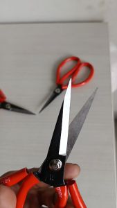 BAJA PILIHAN .! Gunting kodok butterfly 21cm