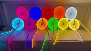 5/4/3m 12V LED Neon Light Strip 11 Light Colors Wire/DC Plug Dimmable Waterproof Flexible Silicone Lamp DIY Home Wall Decoration