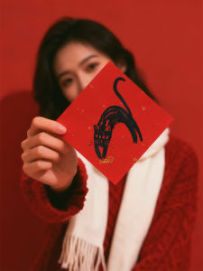 Creative Festive Cat Dog Fortune Couplets 2026 Horse Year Decorations Bright Finish New Year Pet Cartoon Atmosphere Adhesives