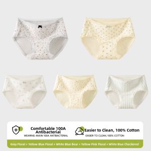 JIAZINI | Antibacterial Aesthetic Cotton Panties Women