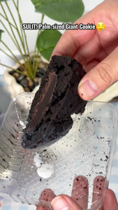 Mr.Squirrel Dark Chocolate Cookies 100g/bag