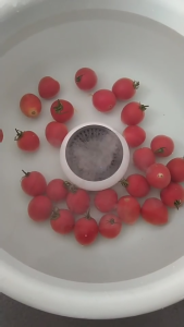 เครื่องฟอกผักและผลไม้แบบไร้สาย เครื่องทำความสะอาดอาหารด้วยคลื่นเสียงอัลตร้าโซนิค กำจัดสารตกค้างจากยาฆ่าแมลงแบบพกพา กำลังไฟ 25W กันน้ำมาตรฐาน IPX7 ชาร์จซ้ำได้ อุปกรณ์ครัวอเนกประสงค์