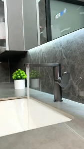 TISAS Stainless Steel Fashion Style Hot&Cold Bathroom Basin Faucet Water Saving Tap Fress Hose Free Shipping COD