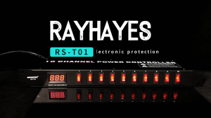 RAYHAYES Power controller 10 channel Timed Power Supply for Equalizers Mixers and Amplifiers