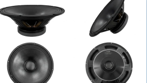 Loa Bass 20 Từ120 Coil 35 -Dành Ráp Loa Xách Tay