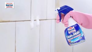KAO Magiclean Stain & Mold | removes and wipes out stubborn stains and mold roots
