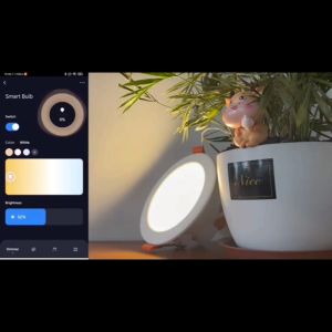Smart Life Tuya Wifi LED Downlight Dimming RGBCW_(Alexa Voice/APP Control)