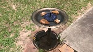 Outdoor Garden Bird Bath Tray Plastic Bird Water Feeder