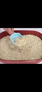 Premium Tofu Cat Litter Sand 1.6kg 6L Wangi Pasir Kucing Toufu Cat Toilet 豆腐猫砂