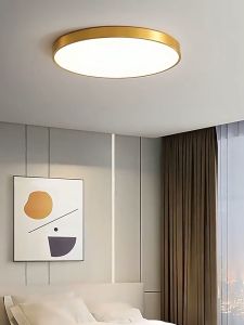 Ultra-thin 2cm LED Ceiling Light White Light/3Colors Dimmable Waterproof Outdoor Corridor Light Balcony Kitchen And Bathroom Light LED Ceiling Lamp Indoor Lighting Home Light